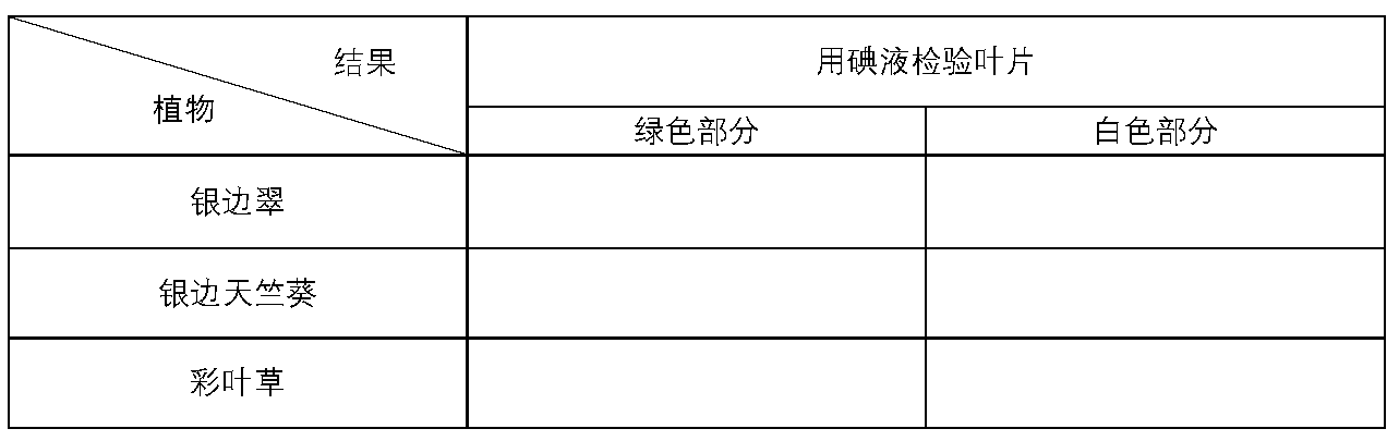 新建 Microsoft Word 文档.png